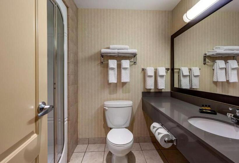Люкс с гидромассажем, Best Western Plus Meridian