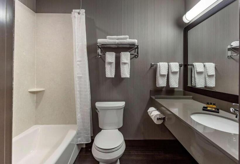 Номер Стандарт, Best Western Plus Meridian