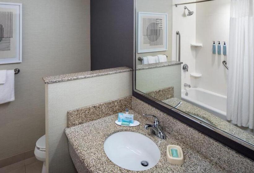 带大床的套房, Courtyard By Marriott Charleston Downtown/civic Center