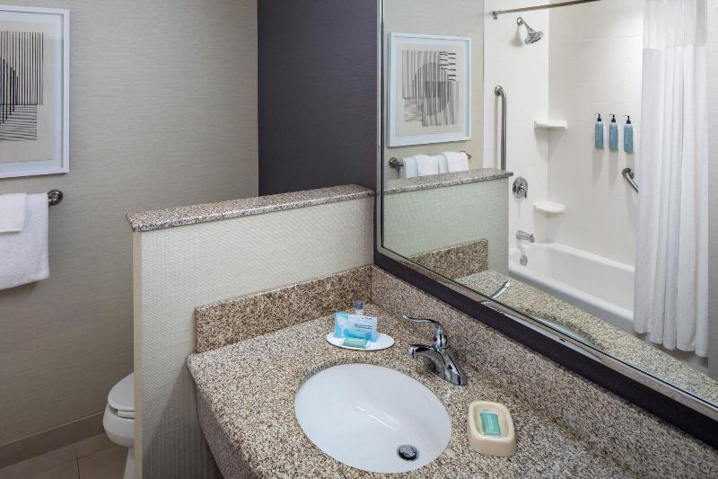 带大床的套房, Courtyard By Marriott Charleston Downtown/civic Center