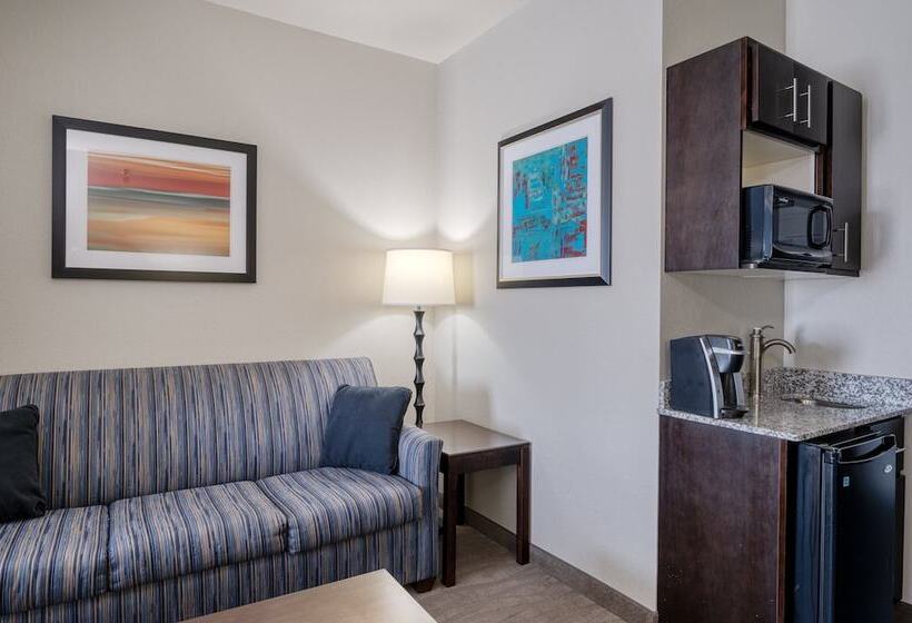 장애인을 위한 스위트, Holiday Inn Express And Suites Edwardsville, An Ihg