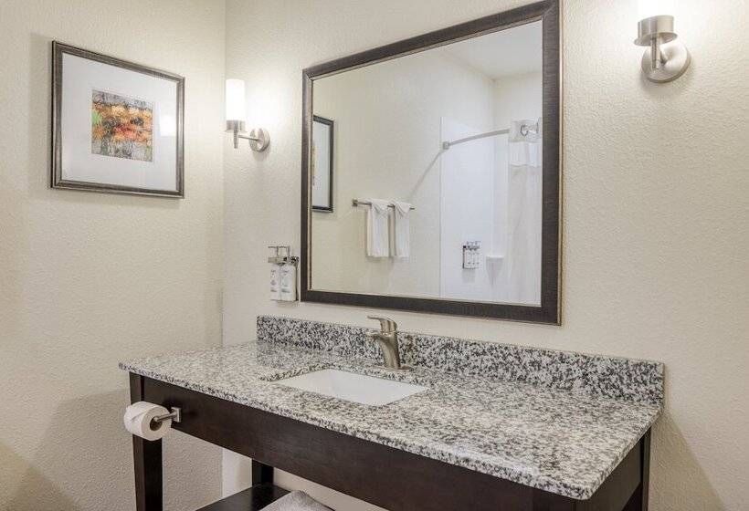 장애인을 위한 스탠다드 룸, Holiday Inn Express And Suites Edwardsville, An Ihg