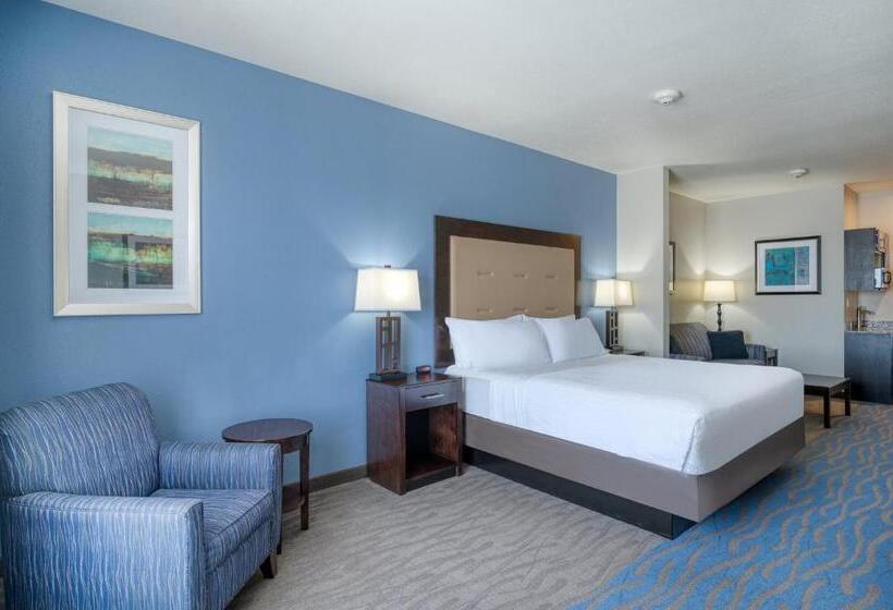 스위트 킹사이즈 침대, Holiday Inn Express And Suites Edwardsville, An Ihg