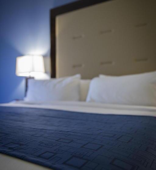 장애인을 위한 스탠다드 룸, Holiday Inn Express And Suites Edwardsville, An Ihg
