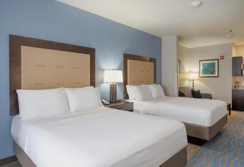 장애인을 위한 스탠다드 룸, Holiday Inn Express And Suites Edwardsville, An Ihg