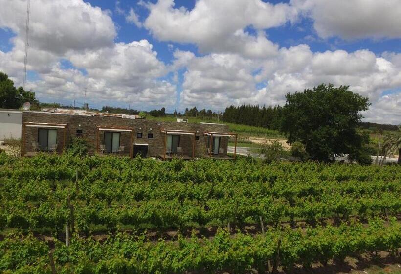 스탠다드 룸, Pizzorno Lodge & Wine