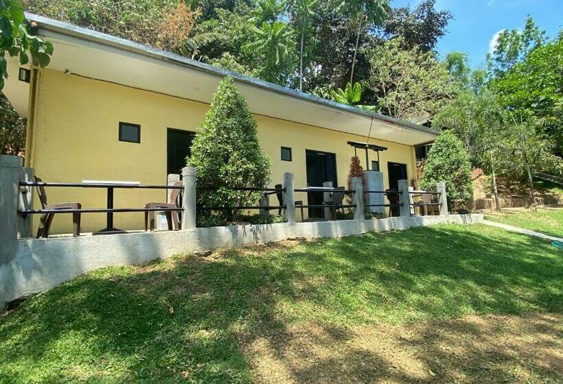 Номер Deluxe, Nature Care Resort And Farm
