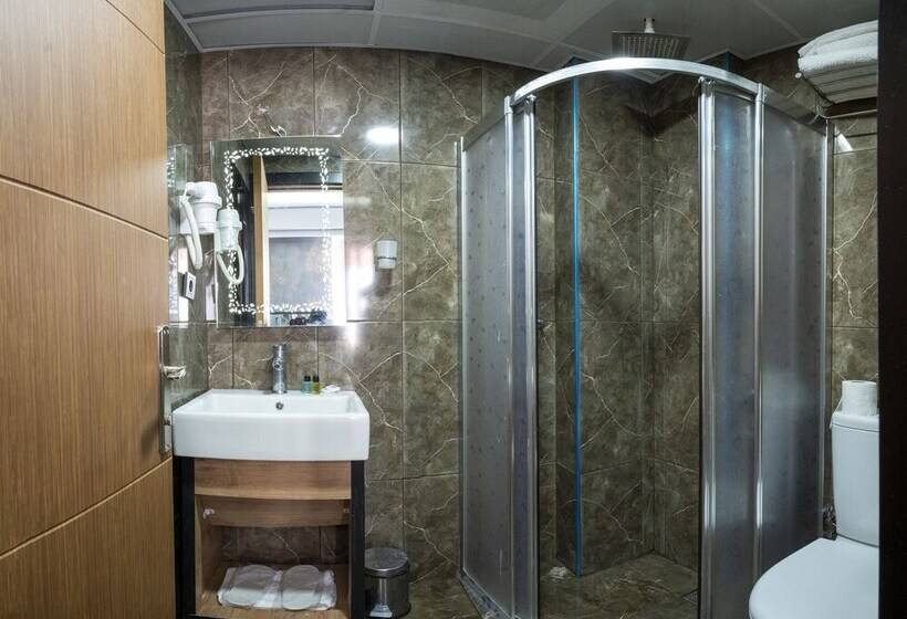 اتاق لوکس یک تخته, Vizyon Hotel   Old City