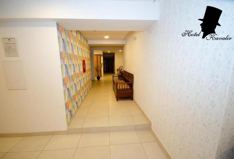 اتاق استاندارد یک نفره, Kavalir