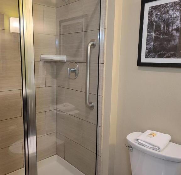 Стандартный Номер Кровать Кинг, La Quinta By Wyndham Tyler   University Area