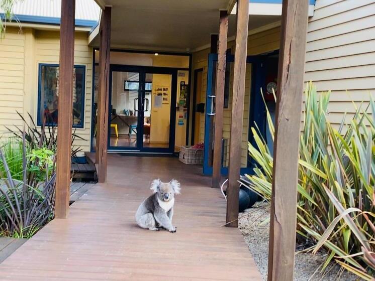 Номер Стандарт Внутренний, Sandpiper Motel Apollo Bay
