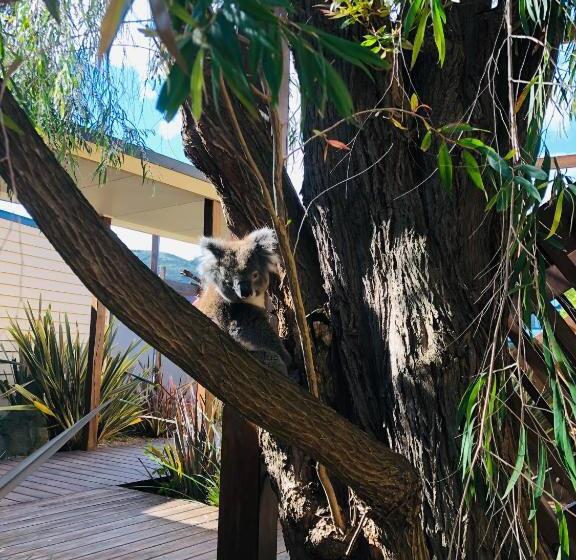 Апартаменты 2 Спальни, Sandpiper Motel Apollo Bay