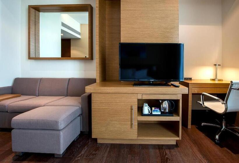 带大床的标准间, Hyatt Place Hampi