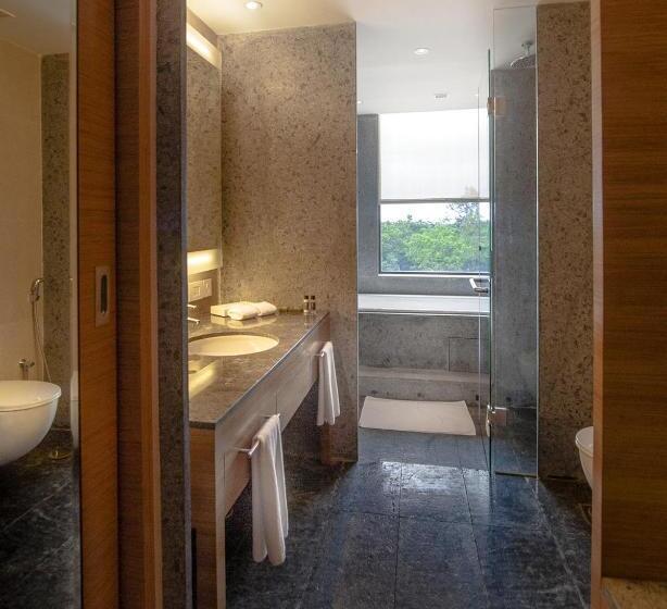 带大床的套房, Hyatt Place Hampi