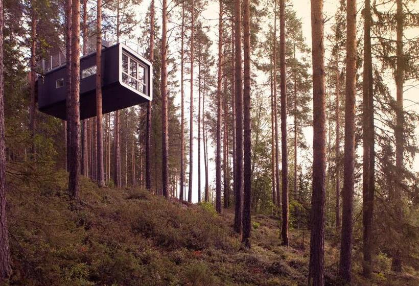 小室, Treehotel