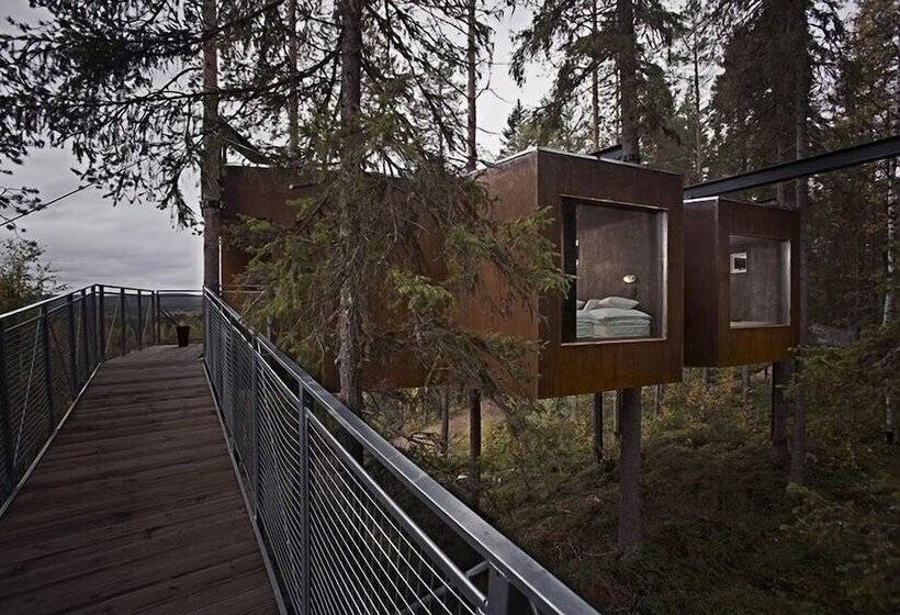标准间, Treehotel