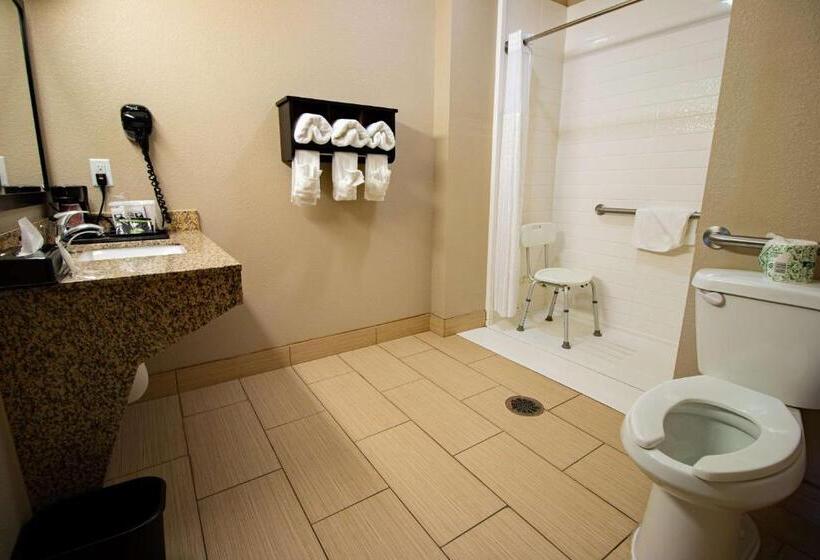 Номер Стандарт Кровать Кинг Адаптированный для Инвалидов, Surestay Plus Hotel By Best Western Owasso Tulsa North