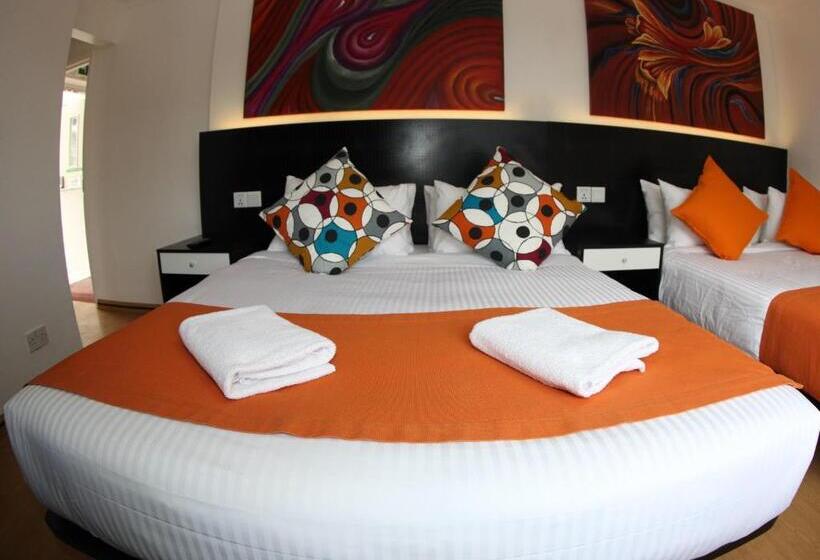 Семейный Номер, Heathrow Inn