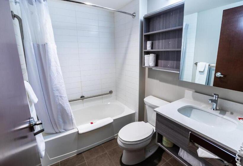 اتاق استاندارد, Microtel Inn & Suites By Wyndham Lloydminster