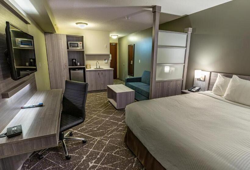 Номер бизнес-класса, Microtel Inn & Suites By Wyndham Lloydminster