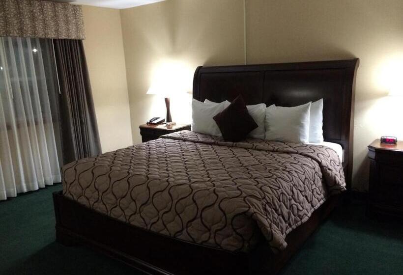 Номер Deluxe Кровать Кинг, Pacer Inn & Suites Motel