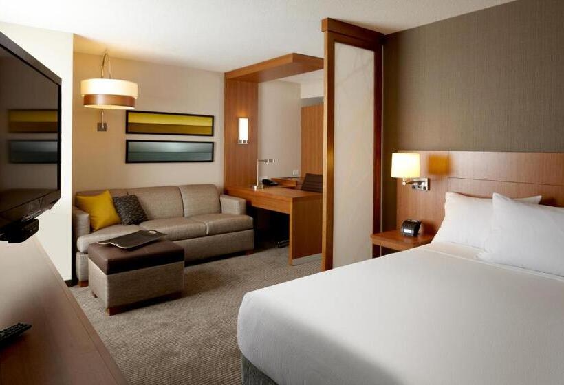 اتاق استاندارد با تخت بزرگ, Hyatt Place Bayamon