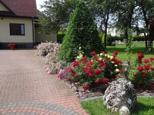 Апартаменты 1 Спальня с Террасой, Skalny Apartamenty, Pokoje