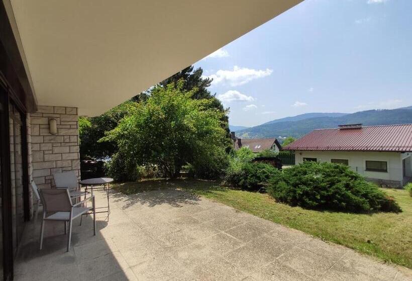 Номер Стандарт с Террасой, Apartamenty Monterska
