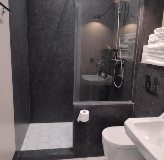 Номер Deluxe Кровать Кинг, Villa Park Wisełka Spa & Wellness