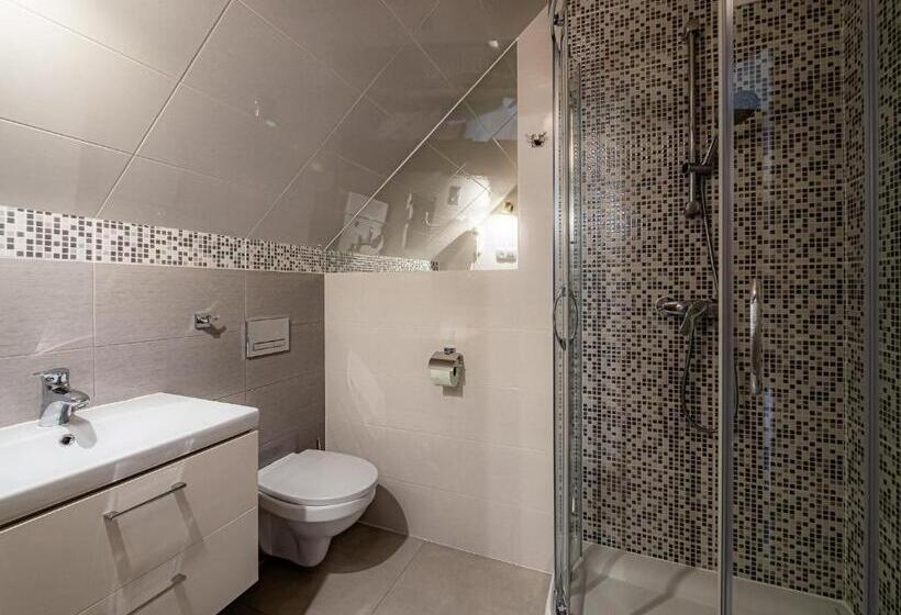 Трехместный Номер Комфорт, Dom Wypocz Pod Litwinką Apartamenty