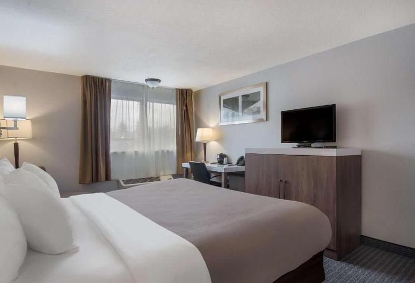 Люкс Кровать Кинг, Quality Inn & Suites Silverdale Bangor Keyport