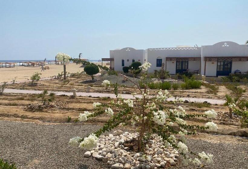 اتاق استاندارد با چشم‌انداز استخر, Beach Safari Nubian Resort
