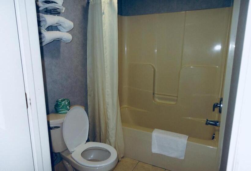 Номер Deluxe Кровать Кинг, Village Inn And Suites