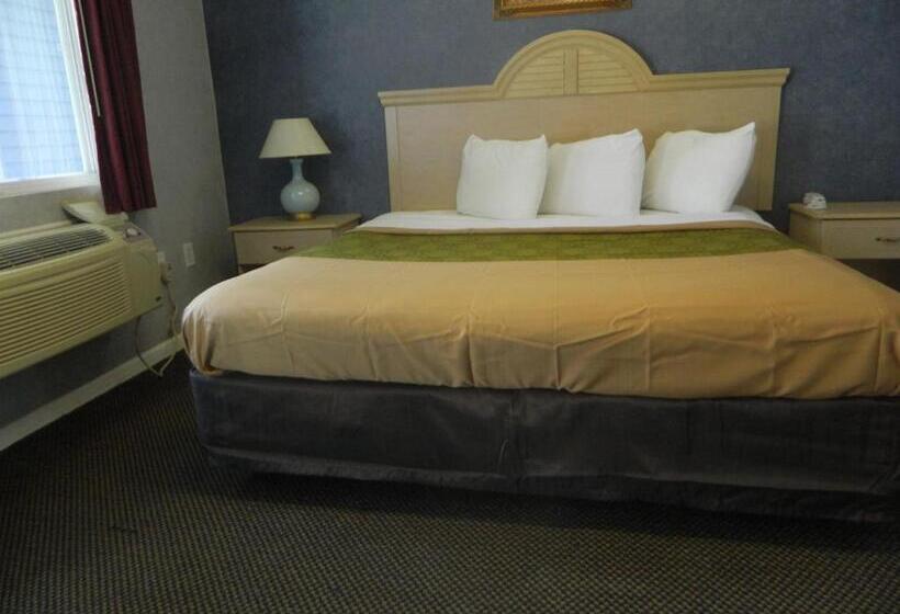 스탠다드 룸 킹사이즈 침대, Village Inn And Suites