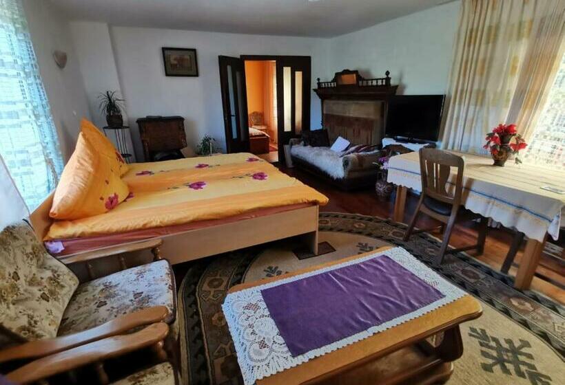 Номер Стандарт, Casa Otilia