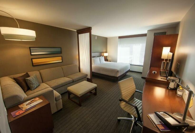 חדר סטנדרט עם מיטת קינג, Hyatt Place Tijuana