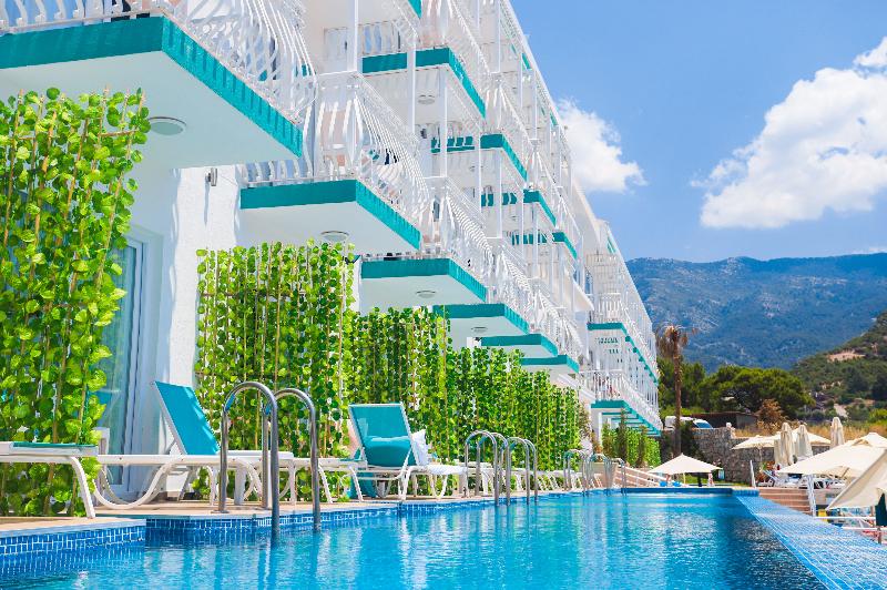 Номер Стандарт, Tropical Deluxe