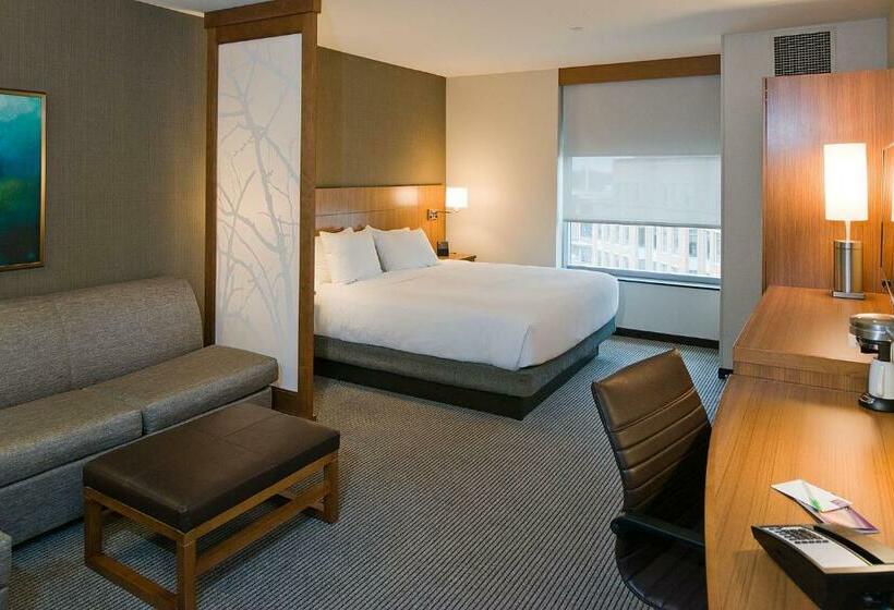 장애인을 위한 킹사이즈 침대 스탠다드 룸, Hyatt Place Bloomington / Normal
