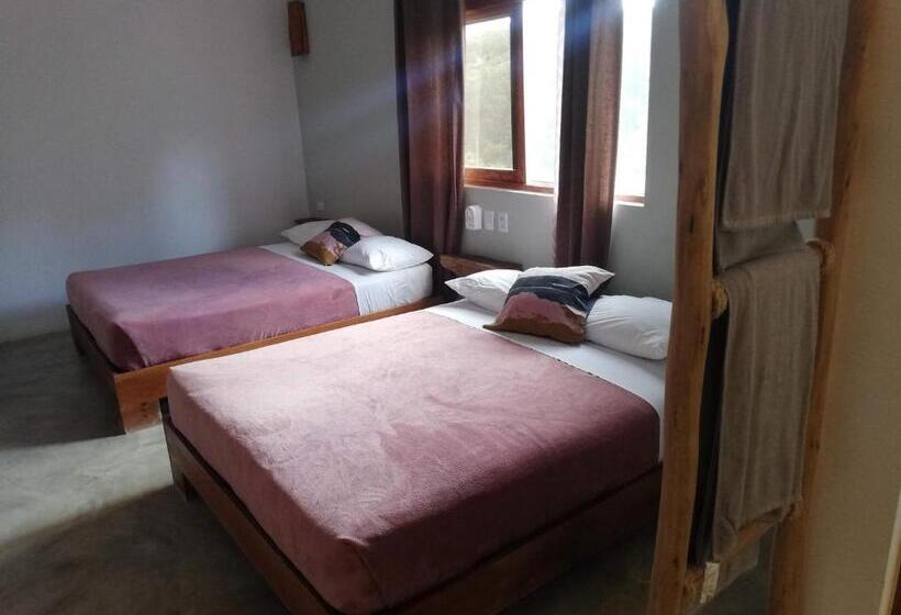 Четырехместный Номер Стандарт, Residencia El Balata