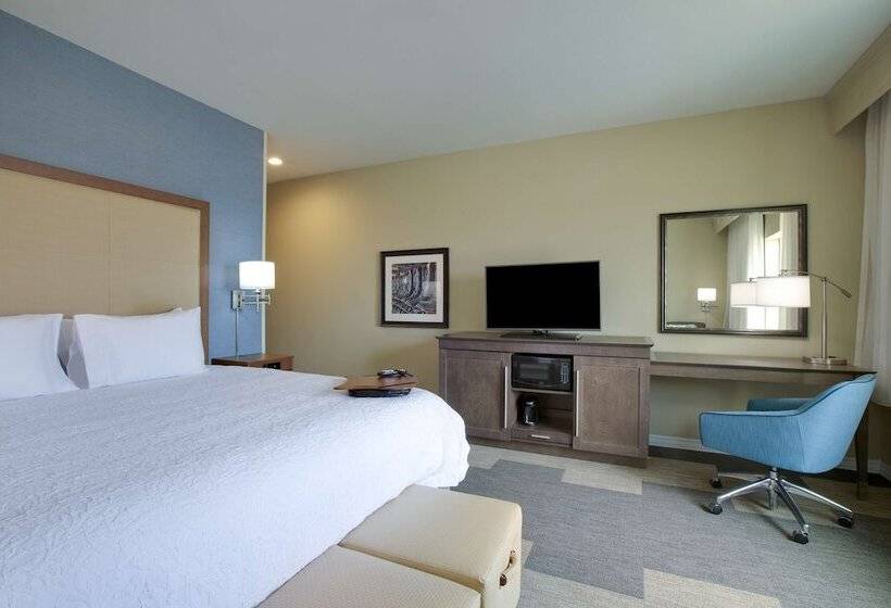 Номер Стандарт Адаптированный для Инвалидов, Hampton Inn Snyder Tx