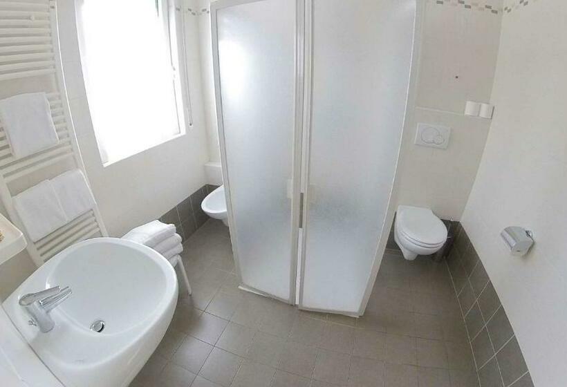 Quarto Estandar, Alberello