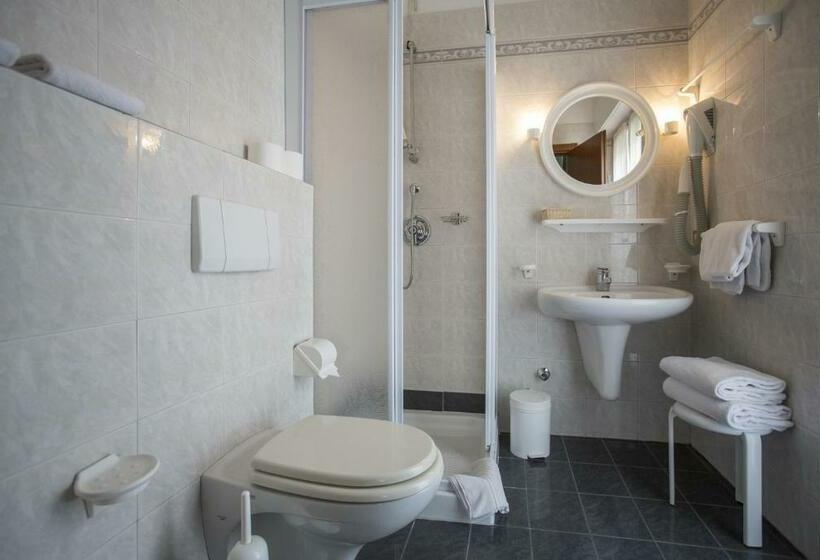 Quarto Estandar, Alberello