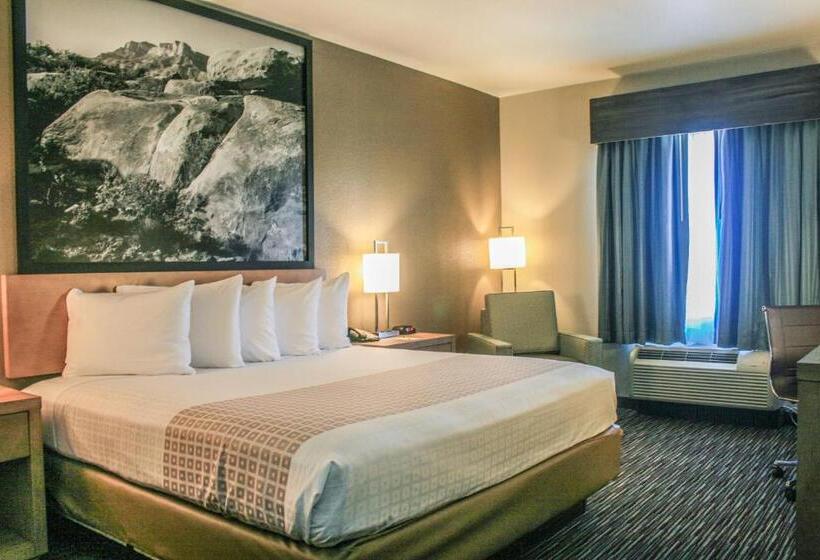 חדר סטנדרט עם מיטת קינג, Spark By Hilton Midland South