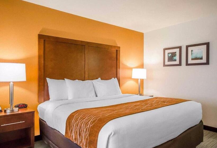 带大床的标准间, Comfort Inn