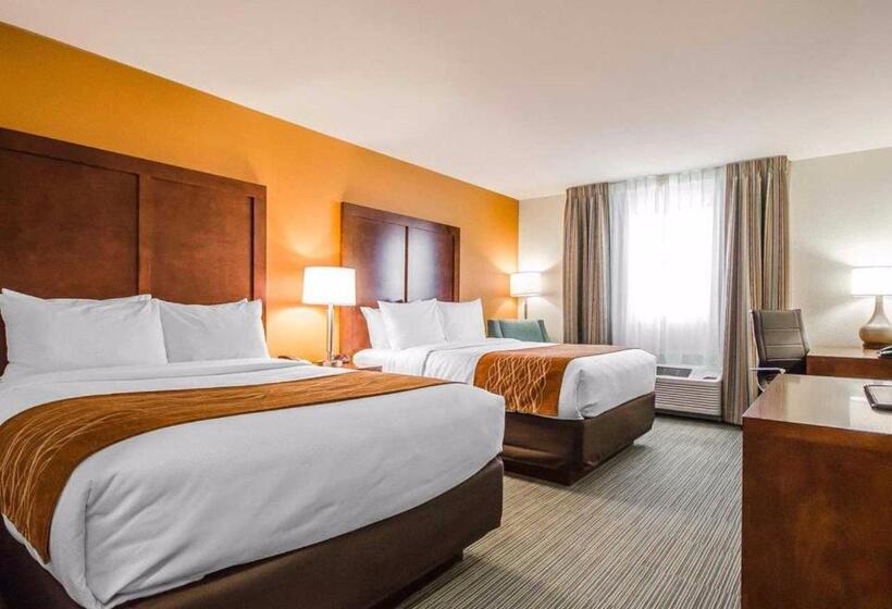 标准间, Comfort Inn