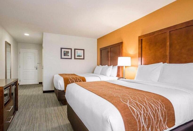 适合残疾人使用的标准间, Comfort Inn