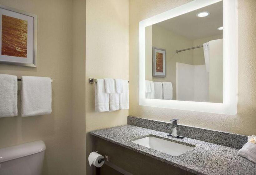 스탠다드 룸 킹사이즈 침대, Days Inn & Suites By Wyndham Belmont