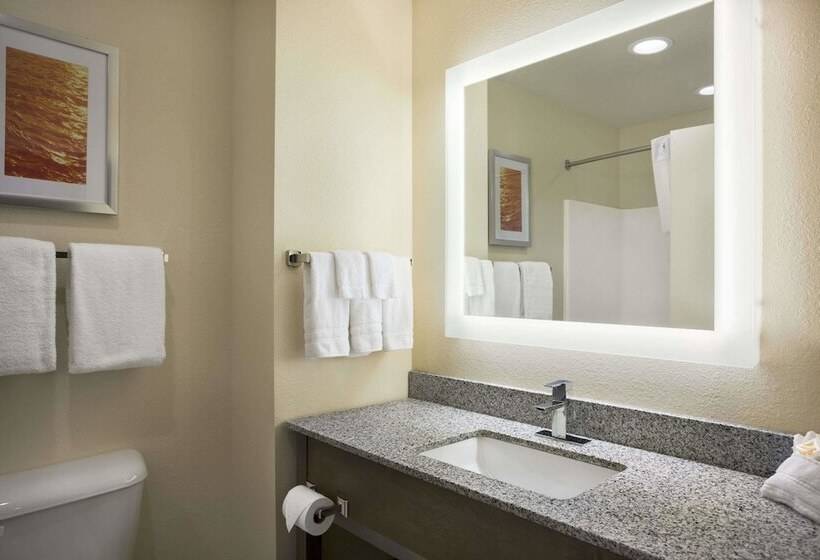 스위트, Days Inn & Suites By Wyndham Belmont
