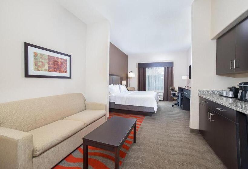 디럭스 스위트, Holiday Inn Express Hotel & Suites Glasgow, An Ihg