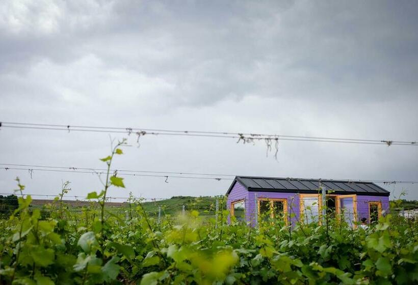 스탠다드 테라스 룸, Tiny House In The Vineyard By Gramofon Wine